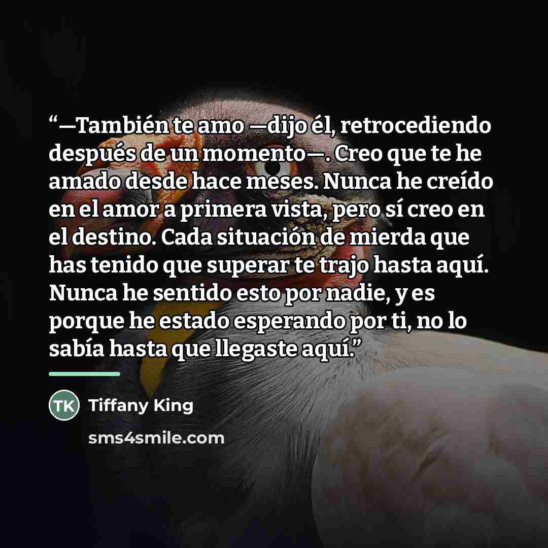 “—También te amo —dijo él, retrocediendo después de un momento—. Creo que te he amado desde hace meses. Nunca he creído en el amor a primera vista, pero sí creo en el destino. Cada situación de mierda que has tenido que superar te trajo hasta aquí. Nunca he sentido esto por nadie, y es porque he…” quote by Tiffany King