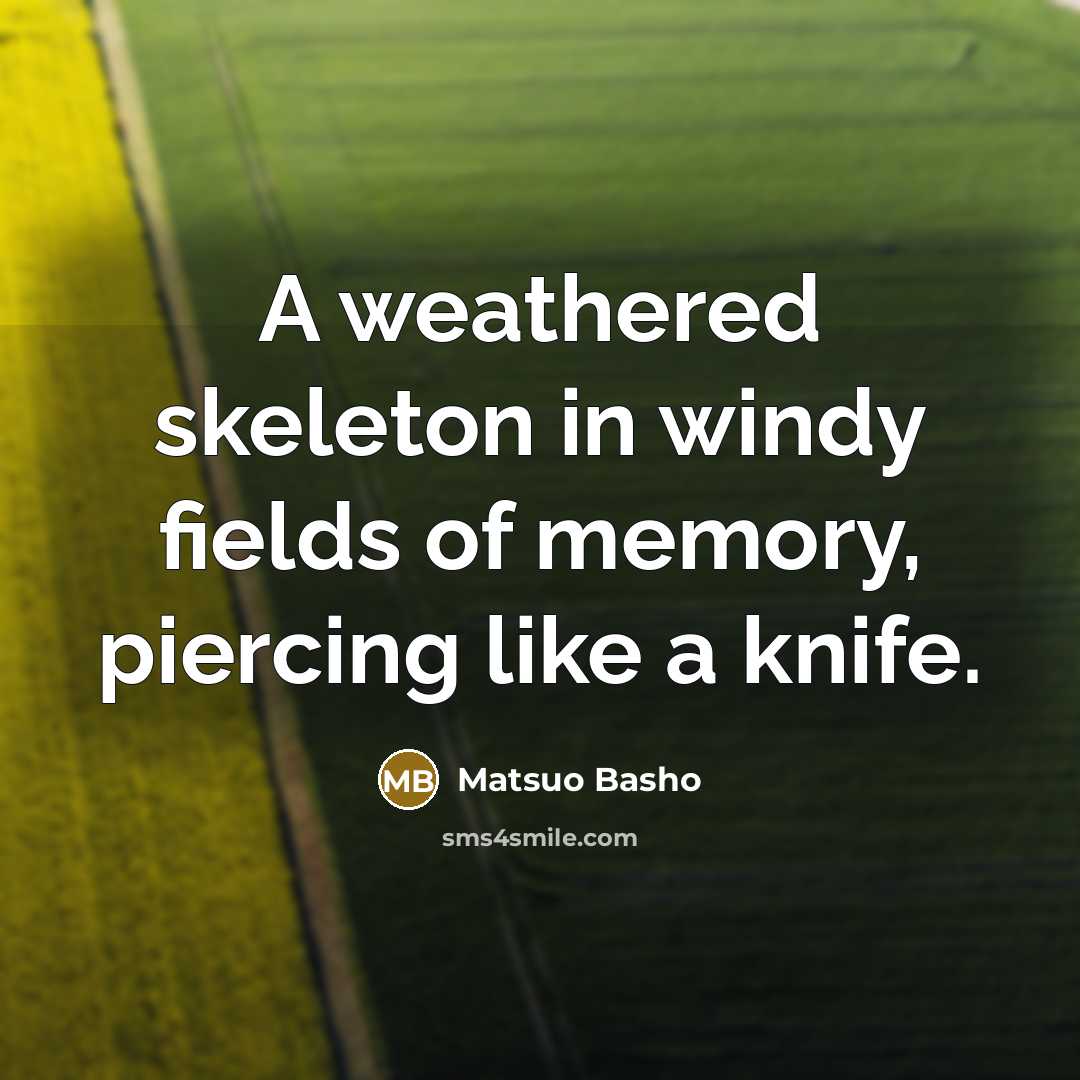 “A weathered skeleton in windy fields of memory, piercing like a knife.” quote by Matsuo Basho