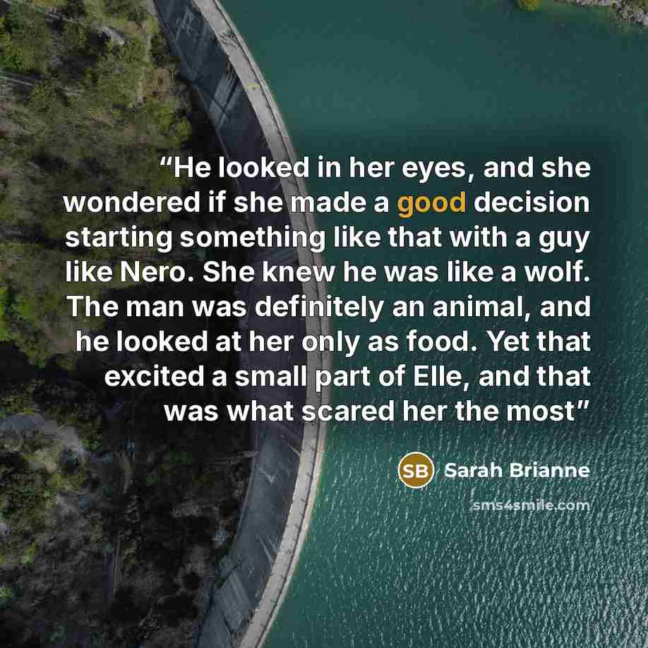 “He looked in her eyes, and she wondered if she made a good decision starting something like that with a guy like Nero. She knew he was like a wolf. The man was definitely an animal, and he looked at her only as food. Yet that excited a small part of Elle, and that was what scared her the most” quote by Sarah Brianne