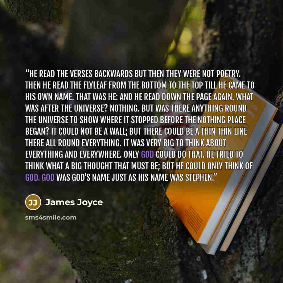 “He read the verses backwards but then they were not poetry. Then he read the flyleaf from the bottom to the top till he came to his own name. That was he: and he read down the page again. What was after the universe? Nothing. But was there anything round the universe to show where it stopped…” quote by James Joyce
