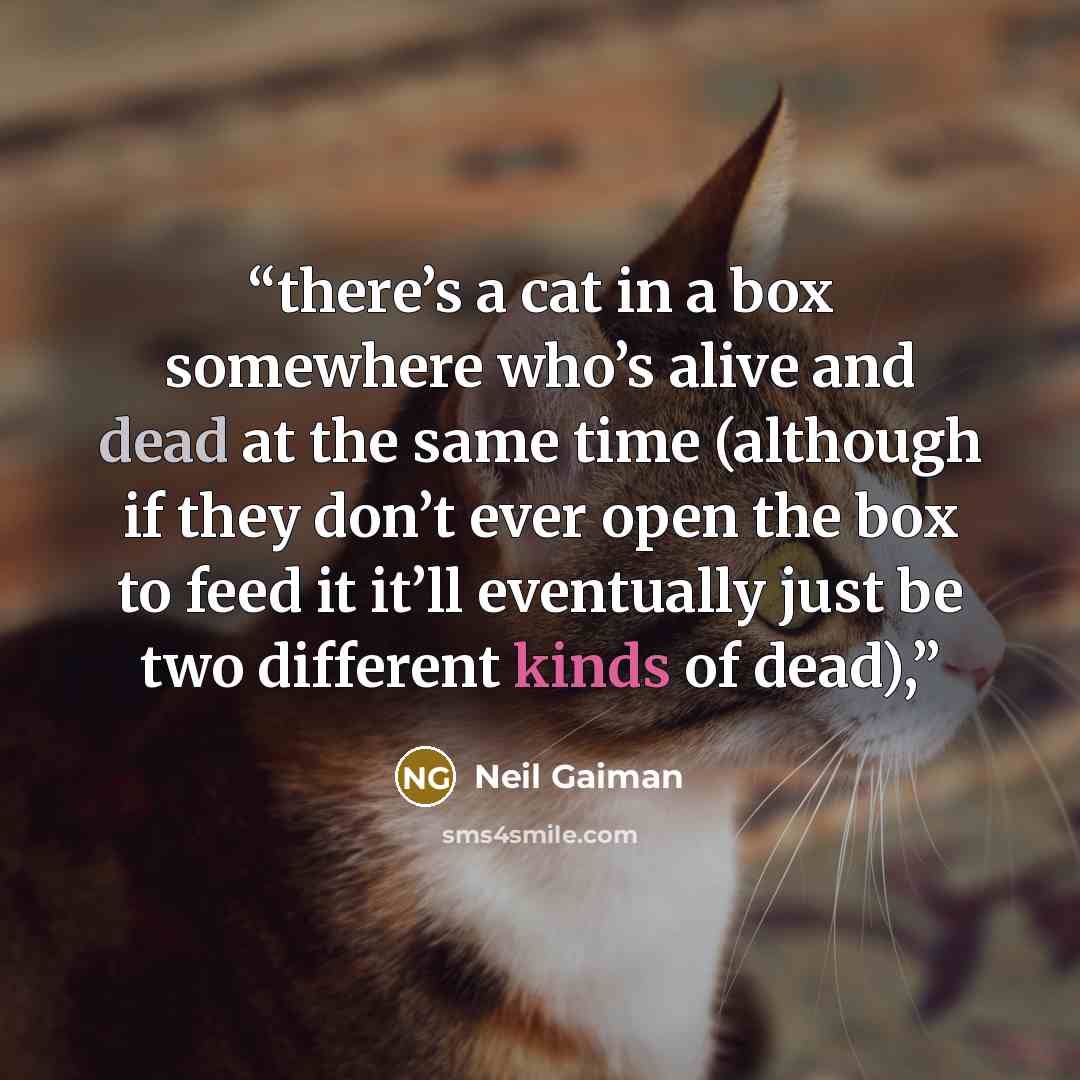 “there’s a cat in a box somewhere who’s alive and dead at the same time (although if they don’t ever open the box to feed it it’ll eventually just be two different kinds of dead),” quote by Neil Gaiman