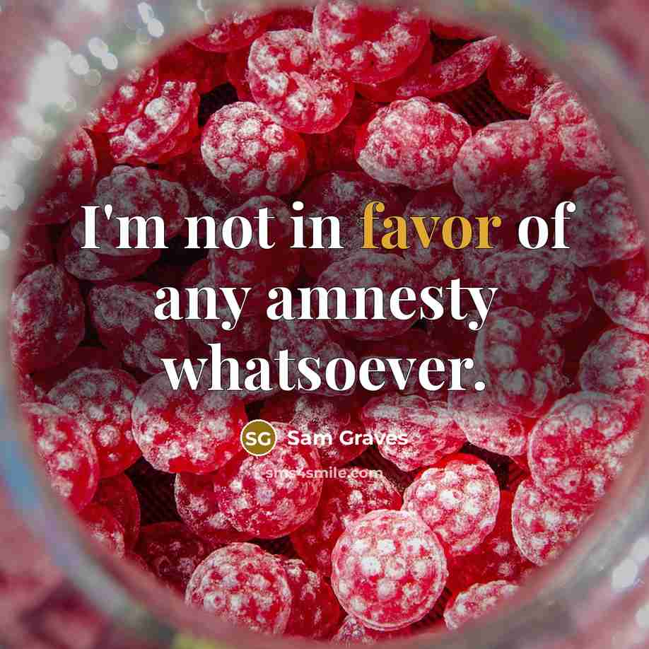 “I'm not in favor of any amnesty whatsoever.” quote by Sam Graves