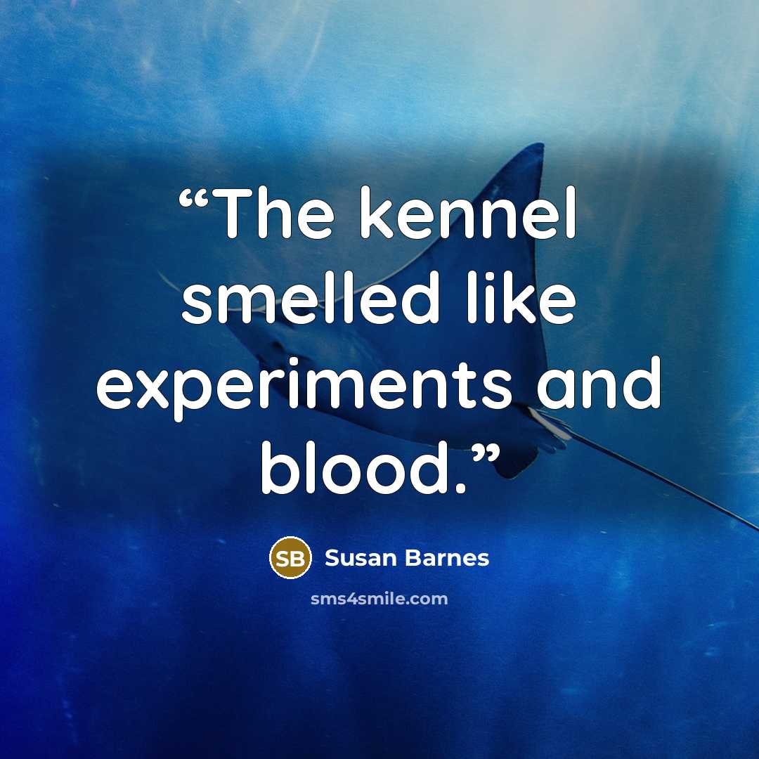 “The kennel smelled like experiments and blood.” quote by Susan Barnes