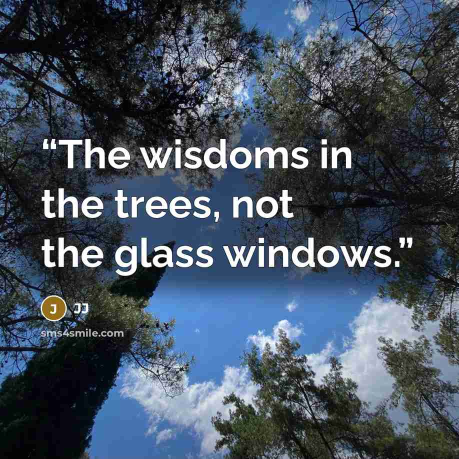 “The wisdoms in the trees, not the glass windows.” quote by JJ