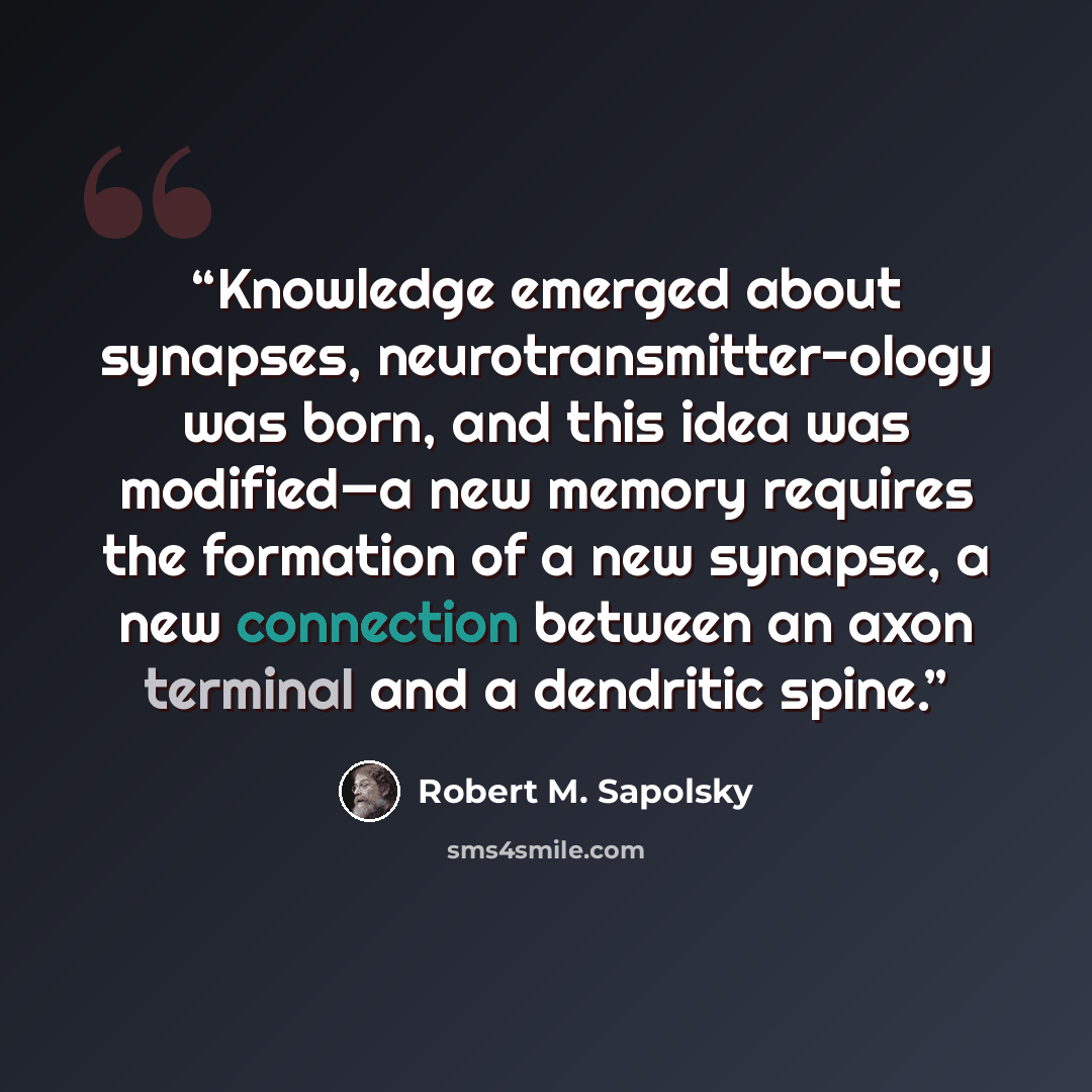 “Knowledge emerged about synapses, neurotransmitter-ology was born, and this idea was modified—a new memory requires the formation of a new synapse, a new connection between an axon terminal and a dendritic spine.” quote by Robert M. Sapolsky