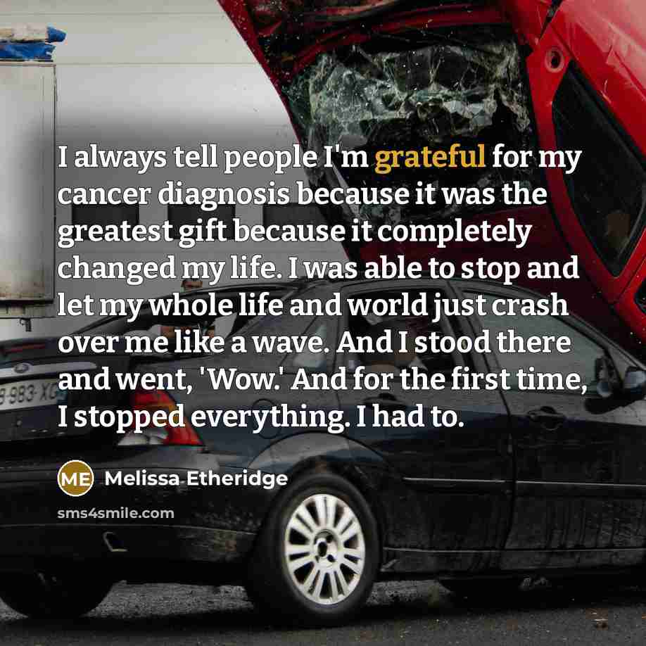 “I always tell people I'm grateful for my cancer diagnosis because it was the greatest gift because it completely changed my life. I was able to stop and let my whole life and world just crash over me like a wave. And I stood there and went, 'Wow.' And for the first time, I stopped everything. I…” quote by Melissa Etheridge