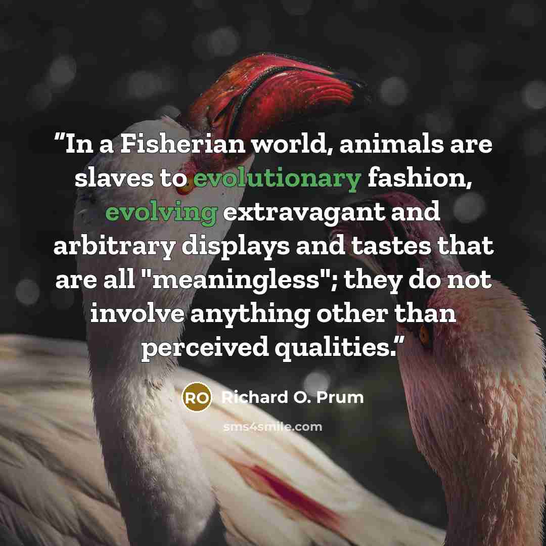 “In a Fisherian world, animals are slaves to evolutionary fashion, evolving extravagant and arbitrary displays and tastes that are all "meaningless"; they do not involve anything other than perceived qualities.” quote by Richard O. Prum