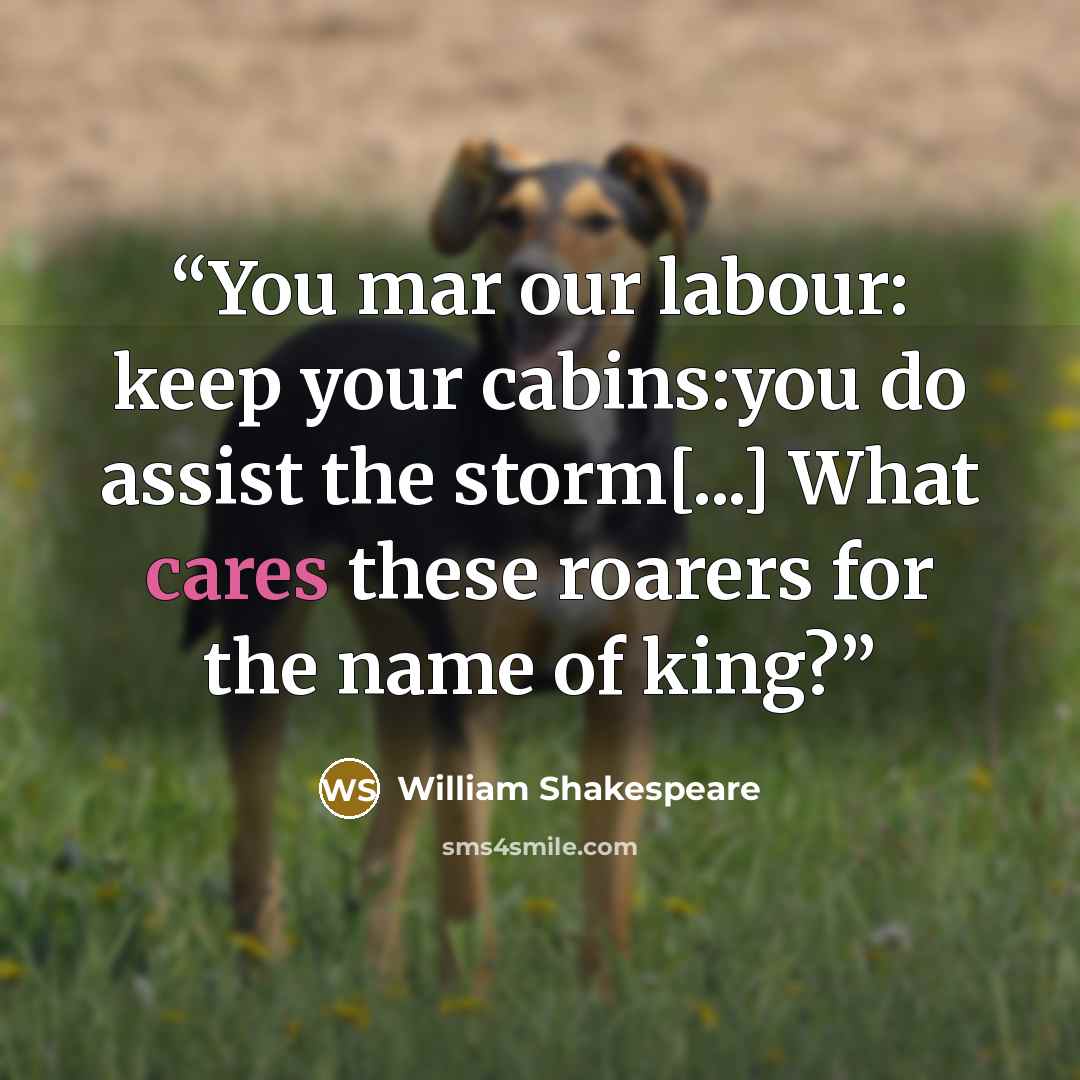 “You mar our labour: keep your cabins:you do assist the storm[...] What cares these roarers for the name of king?” quote by William Shakespeare