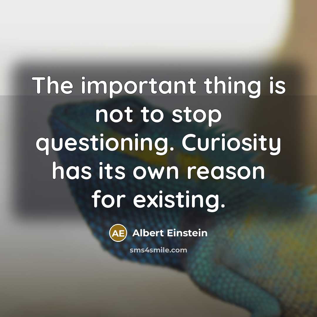 “The important thing is not to stop questioning. Curiosity has its own reason for existing.” quote by Albert Einstein