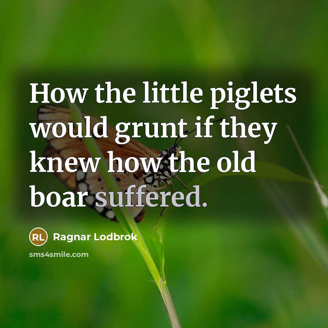 “How the little piglets would grunt if they knew how the old boar suffered.” quote by Ragnar Lodbrok