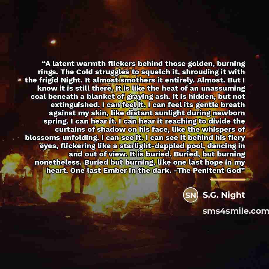 “A latent warmth flickers behind those golden, burning rings. The Cold struggles to squelch it, shrouding it with the frigid Night. It almost smothers it entirely. Almost. But I know it is still there. It is like the heat of an unassuming coal beneath a blanket of graying ash. It is hidden, but not…” quote by S.G. Night