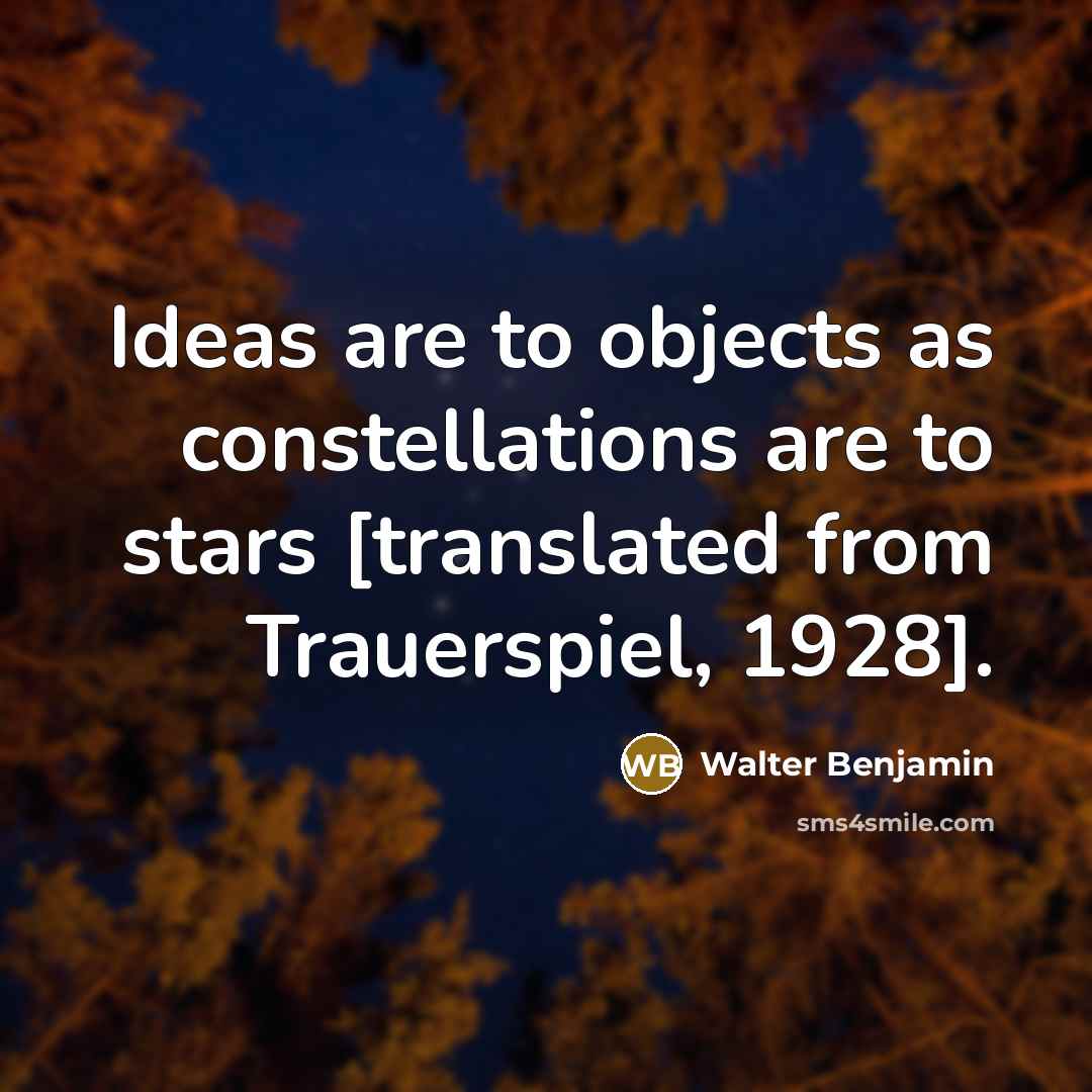 “Ideas are to objects as constellations are to stars [translated from Trauerspiel, 1928].” quote by Walter Benjamin