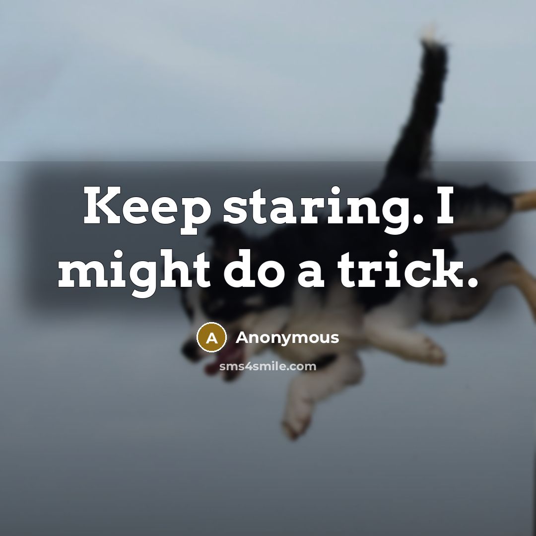 “Keep staring. I might do a trick.” quote by Anonymous
