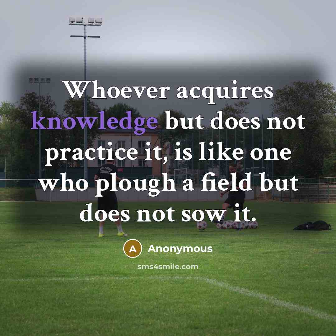 “Whoever acquires knowledge but does not practice it, is like one who plough a field but does not sow it.” quote by Anonymous