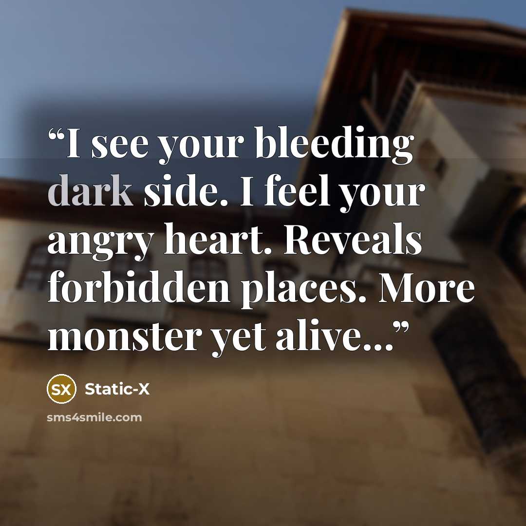 “I see your bleeding dark side. I feel your angry heart. Reveals forbidden places. More monster yet alive...” quote by Static-X