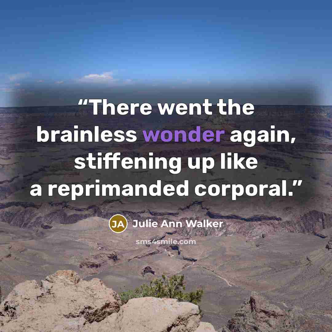 “There went the brainless wonder again, stiffening up like a reprimanded corporal.” quote by Julie Ann Walker