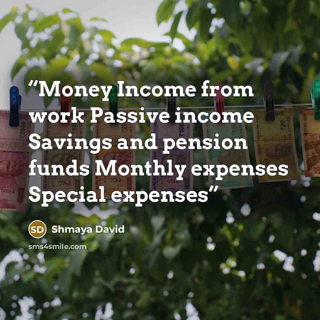 “Money Income from work Passive income Savings and pension funds Monthly expenses Special expenses” quote by Shmaya David