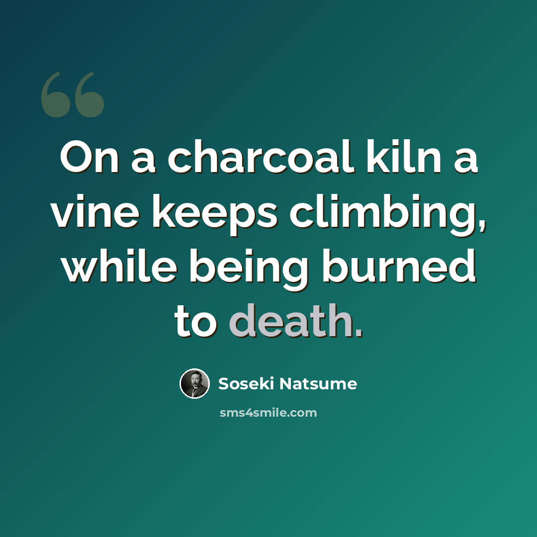 “On a charcoal kiln a vine keeps climbing, while being burned to death.” quote by Soseki Natsume