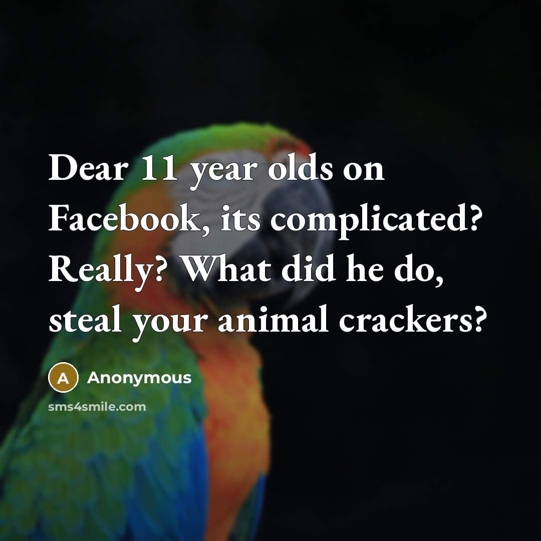 “Dear 11 year olds on Facebook, its complicated? Really? What did he do, steal your animal crackers?” quote by Anonymous
