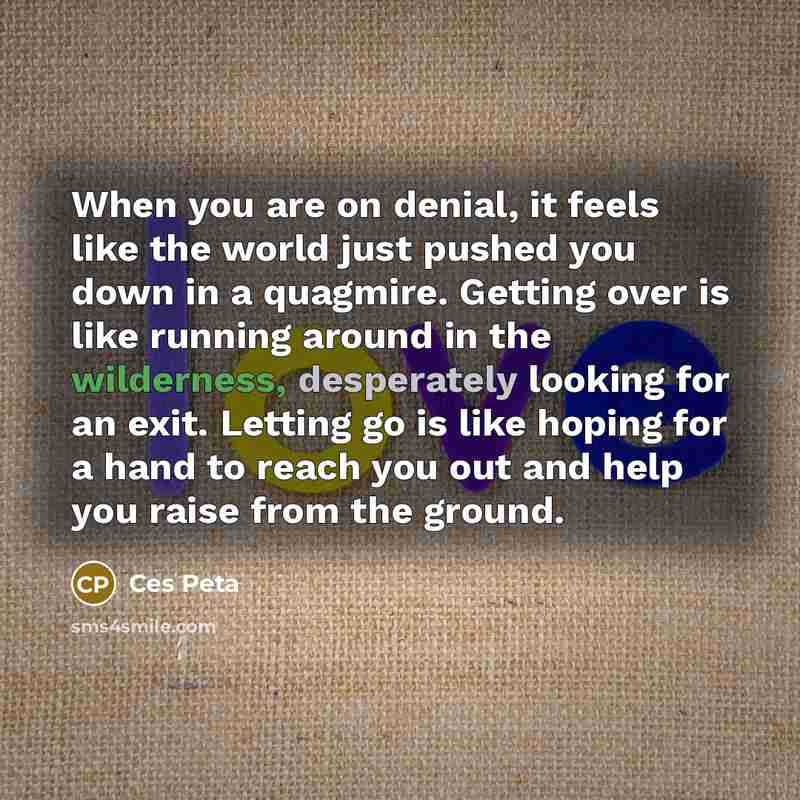 “When you are on denial, it feels like the world just pushed you down in a quagmire. Getting over is like running around in the wilderness, desperately looking for an exit. Letting go is like hoping for a hand to reach you out and help you raise from the ground.” quote by Ces Peta