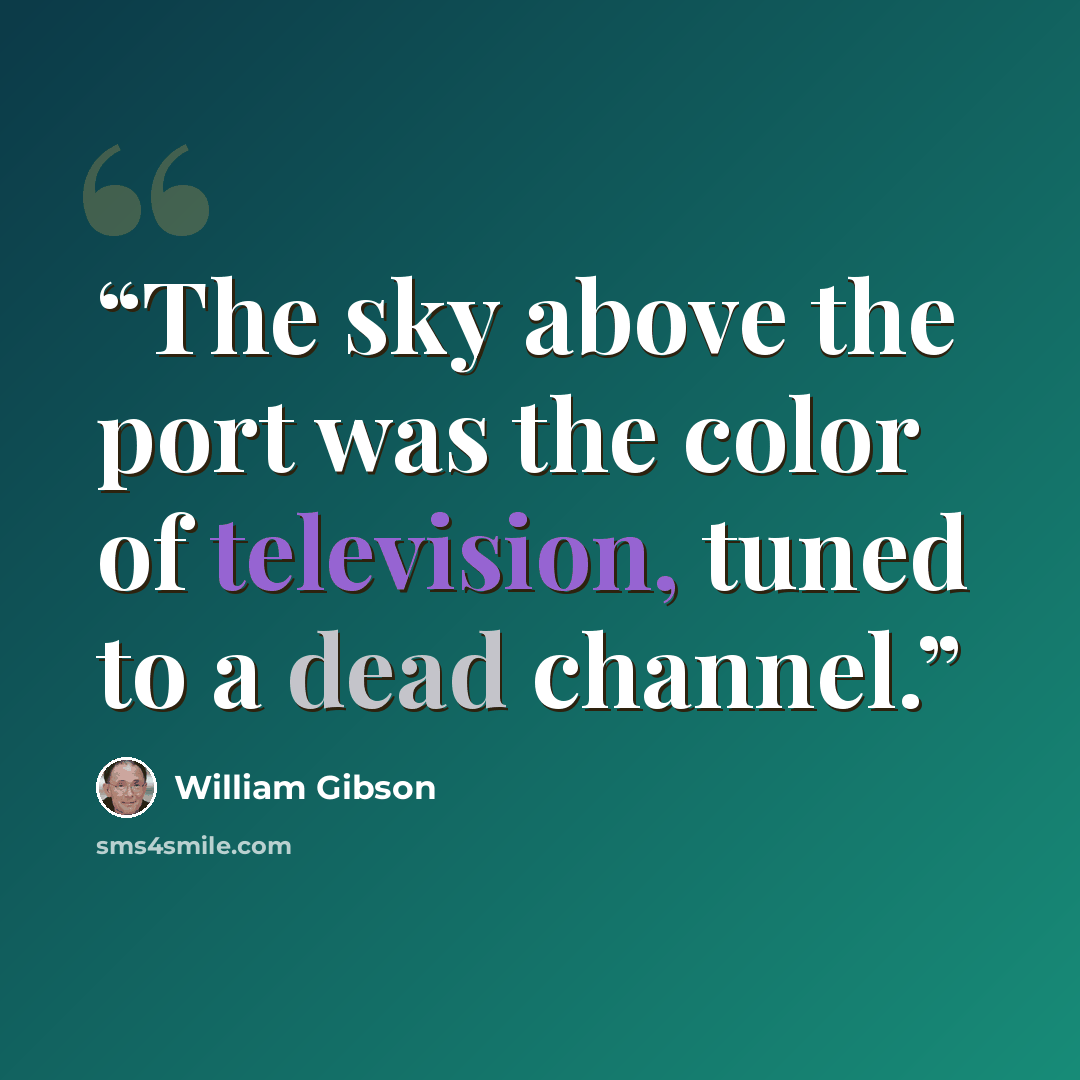 “The sky above the port was the color of television, tuned to a dead channel.” quote by William Gibson