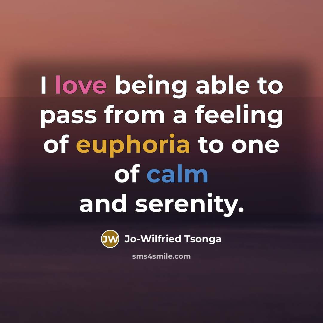 “I love being able to pass from a feeling of euphoria to one of calm and serenity.” quote by Jo-Wilfried Tsonga