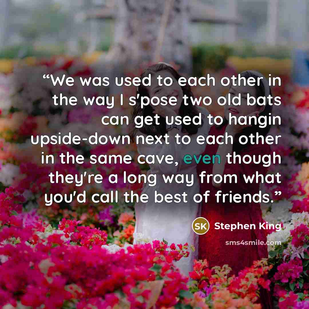 “We was used to each other in the way I s'pose two old bats can get used to hangin upside-down next to each other in the same cave, even though they're a long way from what you'd call the best of friends.” quote by Stephen King