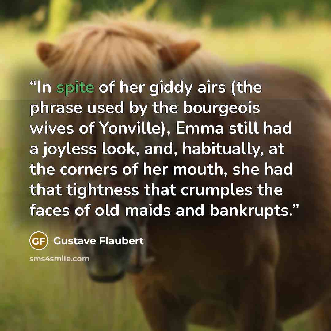 “In spite of her giddy airs (the phrase used by the bourgeois wives of Yonville), Emma still had a joyless look, and, habitually, at the corners of her mouth, she had that tightness that crumples the faces of old maids and bankrupts.” quote by Gustave Flaubert