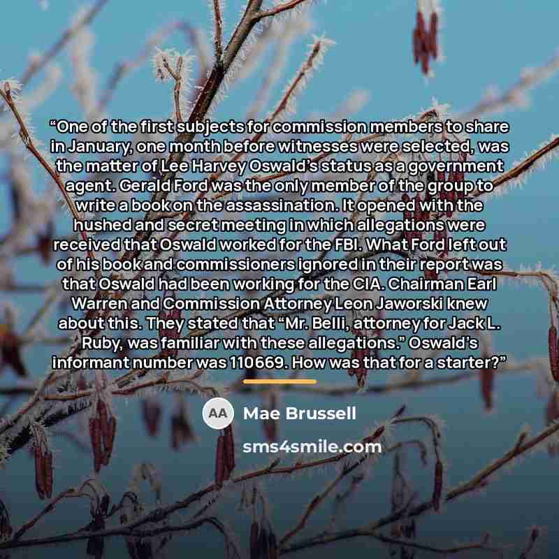 “One of the first subjects for commission members to share in January, one month before witnesses were selected, was the matter of Lee Harvey Oswald’s status as a government agent. Gerald Ford was the only member of the group to write a book on the assassination. It opened with the hushed and…” quote by Mae Brussell
