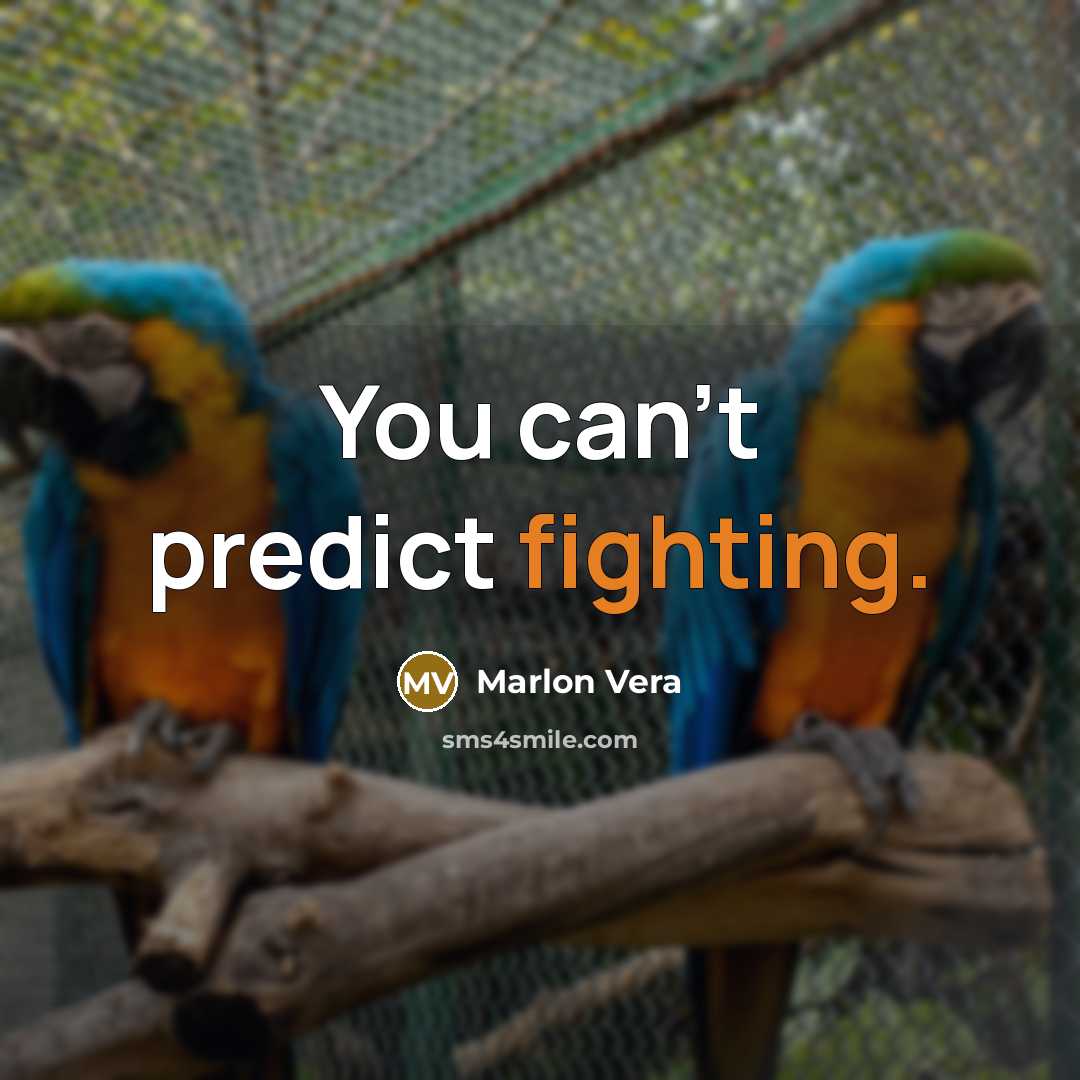 “You can't predict fighting.” quote by Marlon Vera