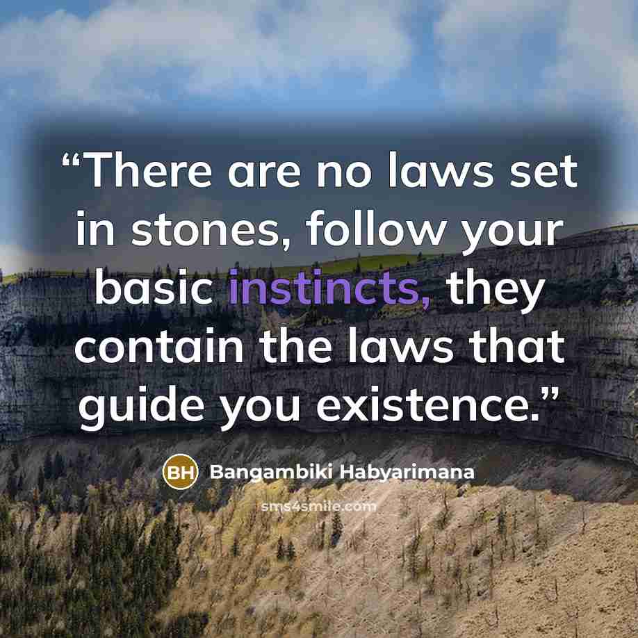 “There are no laws set in stones, follow your basic instincts, they contain the laws that guide you existence.” quote by Bangambiki Habyarimana