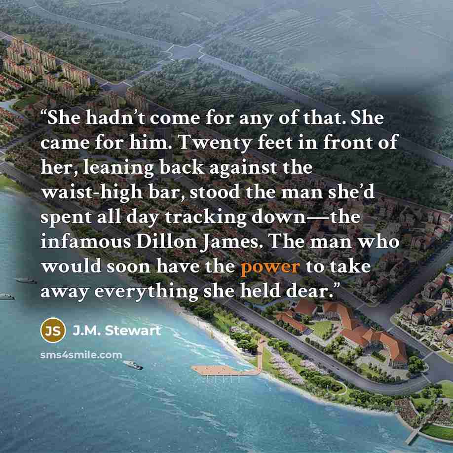 “She hadn’t come for any of that. She came for him. Twenty feet in front of her, leaning back against the waist-high bar, stood the man she’d spent all day tracking down—the infamous Dillon James. The man who would soon have the power to take away everything she held dear.” quote by J.M. Stewart