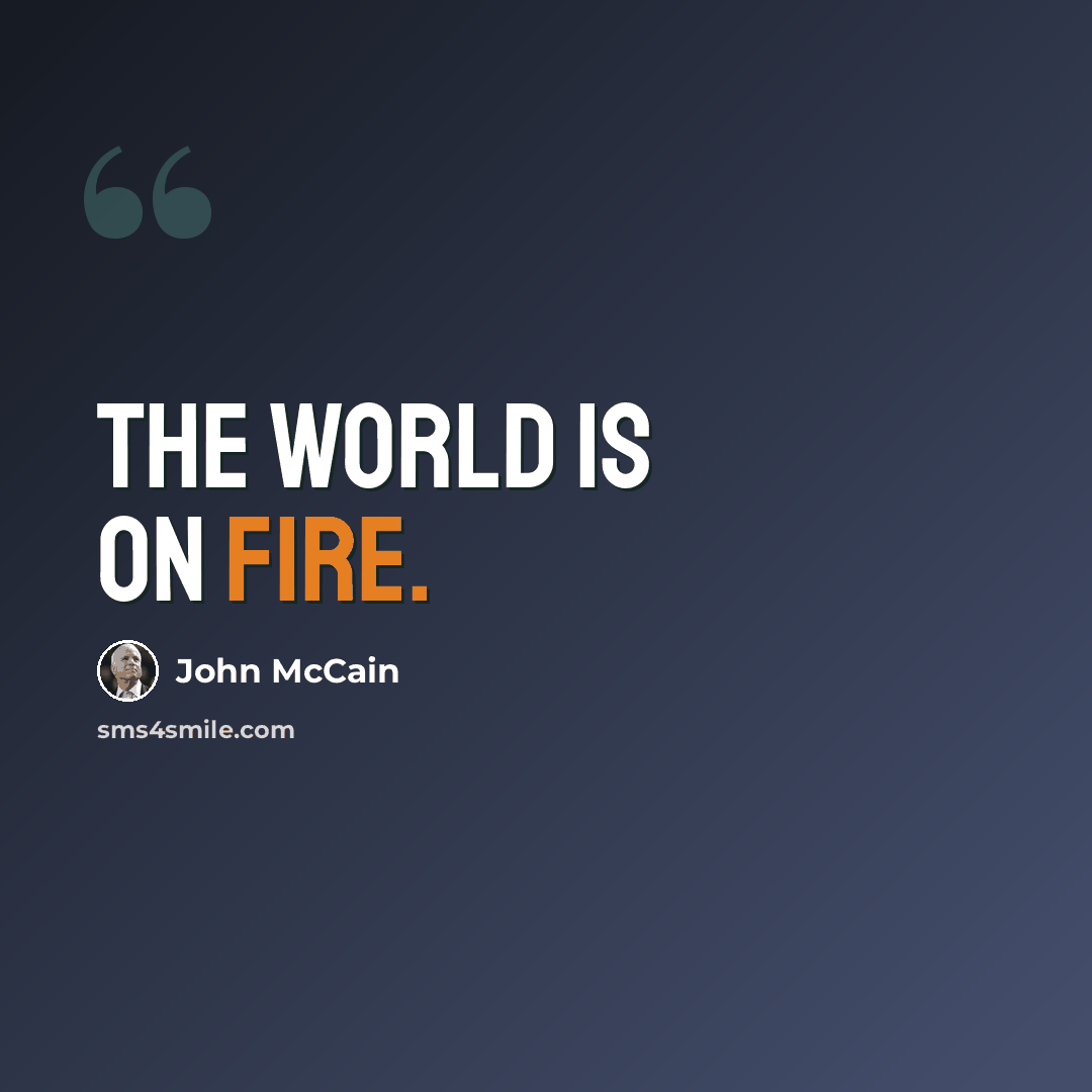 “The world is on fire.” quote by John McCain