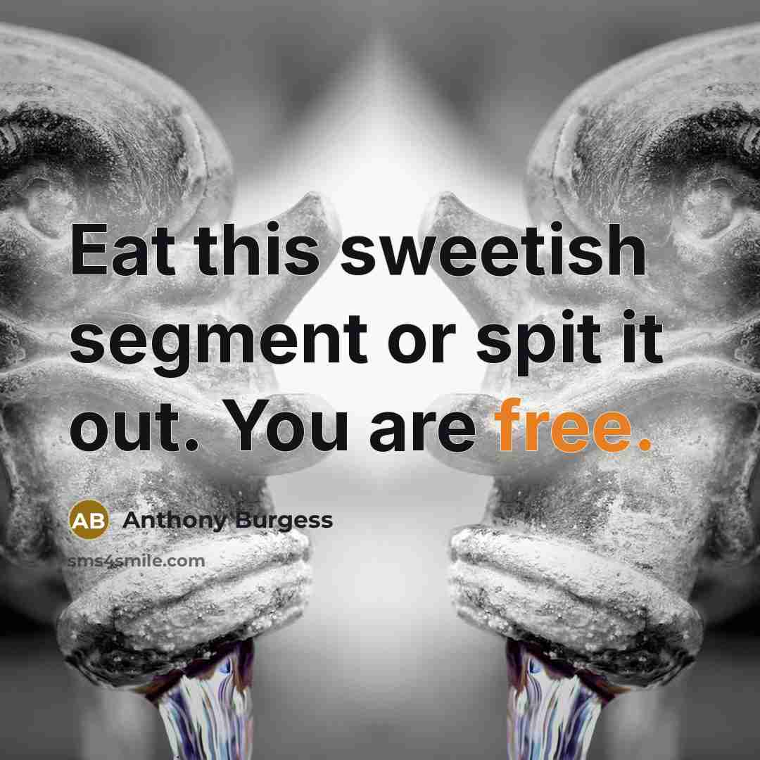 “Eat this sweetish segment or spit it out. You are free.” quote by Anthony Burgess