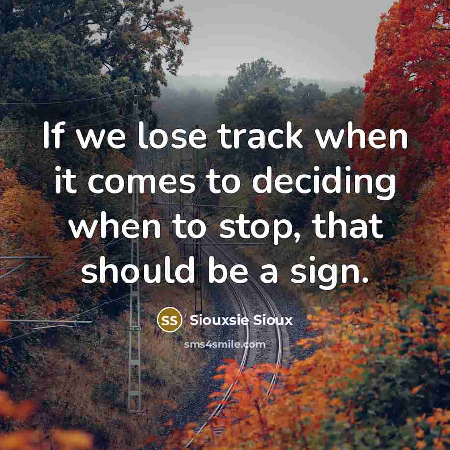 “If we lose track when it comes to deciding when to stop, that should be a sign.” quote by Siouxsie Sioux