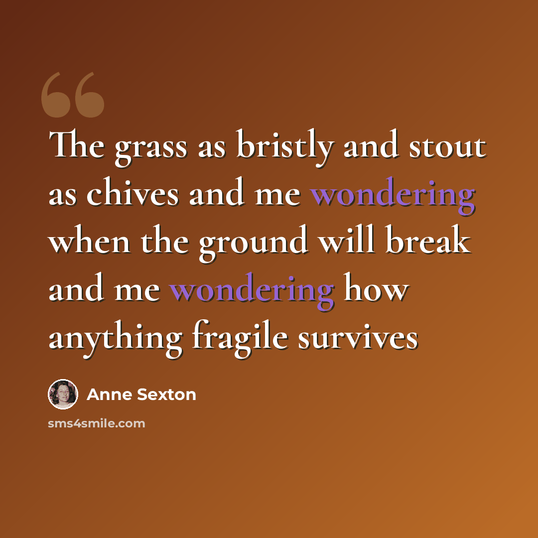 “The grass as bristly and stout as chives and me wondering when the ground will break and me wondering how anything fragile survives” quote by Anne Sexton