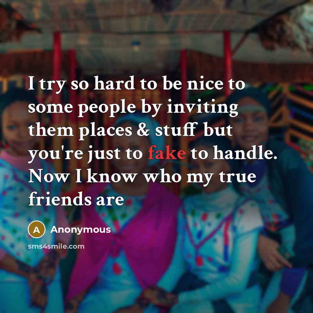 “I try so hard to be nice to some people by inviting them places & stuff but you're just to fake to handle. Now I know who my true friends are” quote by Anonymous