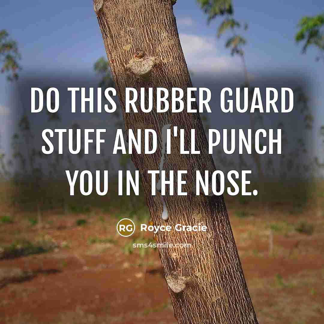 “Do this rubber guard stuff and I'll punch you in the nose.” quote by Royce Gracie
