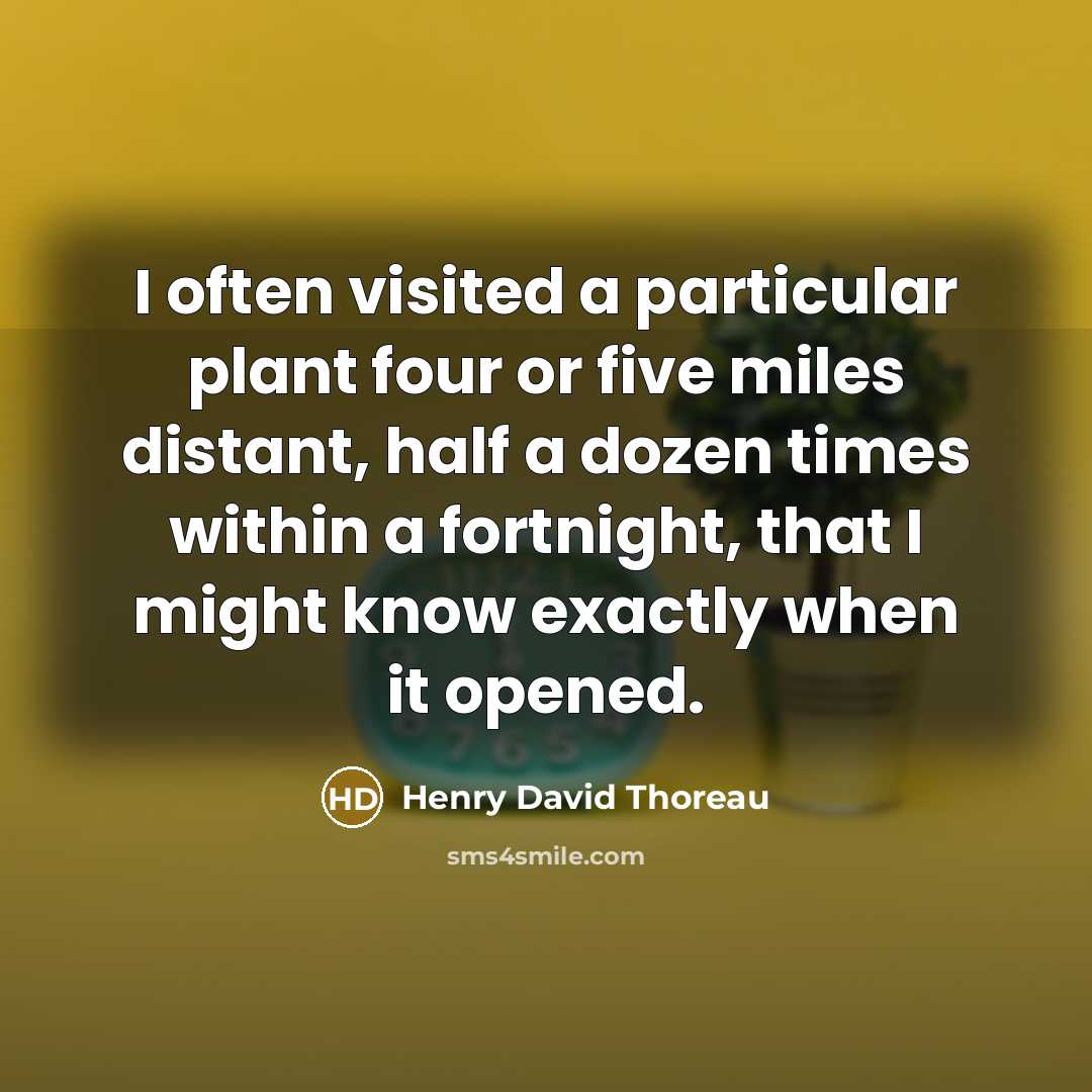 “I often visited a particular plant four or five miles distant, half a dozen times within a fortnight, that I might know exactly when it opened.” quote by Henry David Thoreau