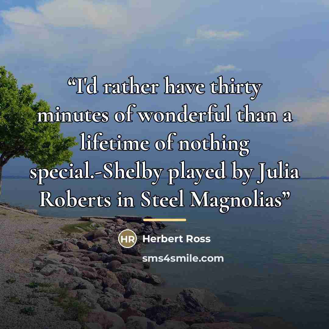 “I'd rather have thirty minutes of wonderful than a lifetime of nothing special.-Shelby played by Julia Roberts in Steel Magnolias” quote by Herbert Ross
