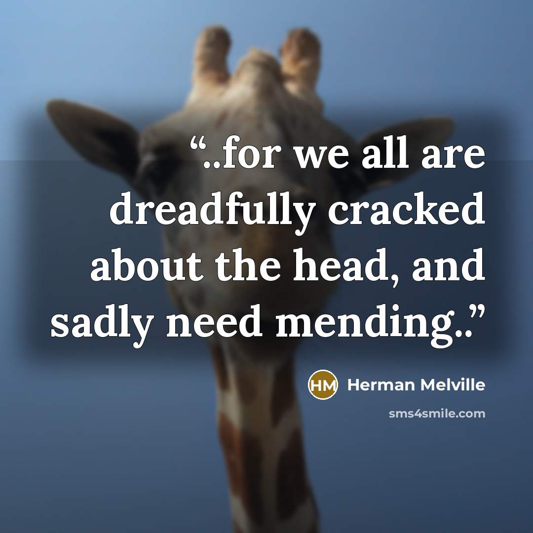 “..for we all are dreadfully cracked about the head, and sadly need mending..” quote by Herman Melville