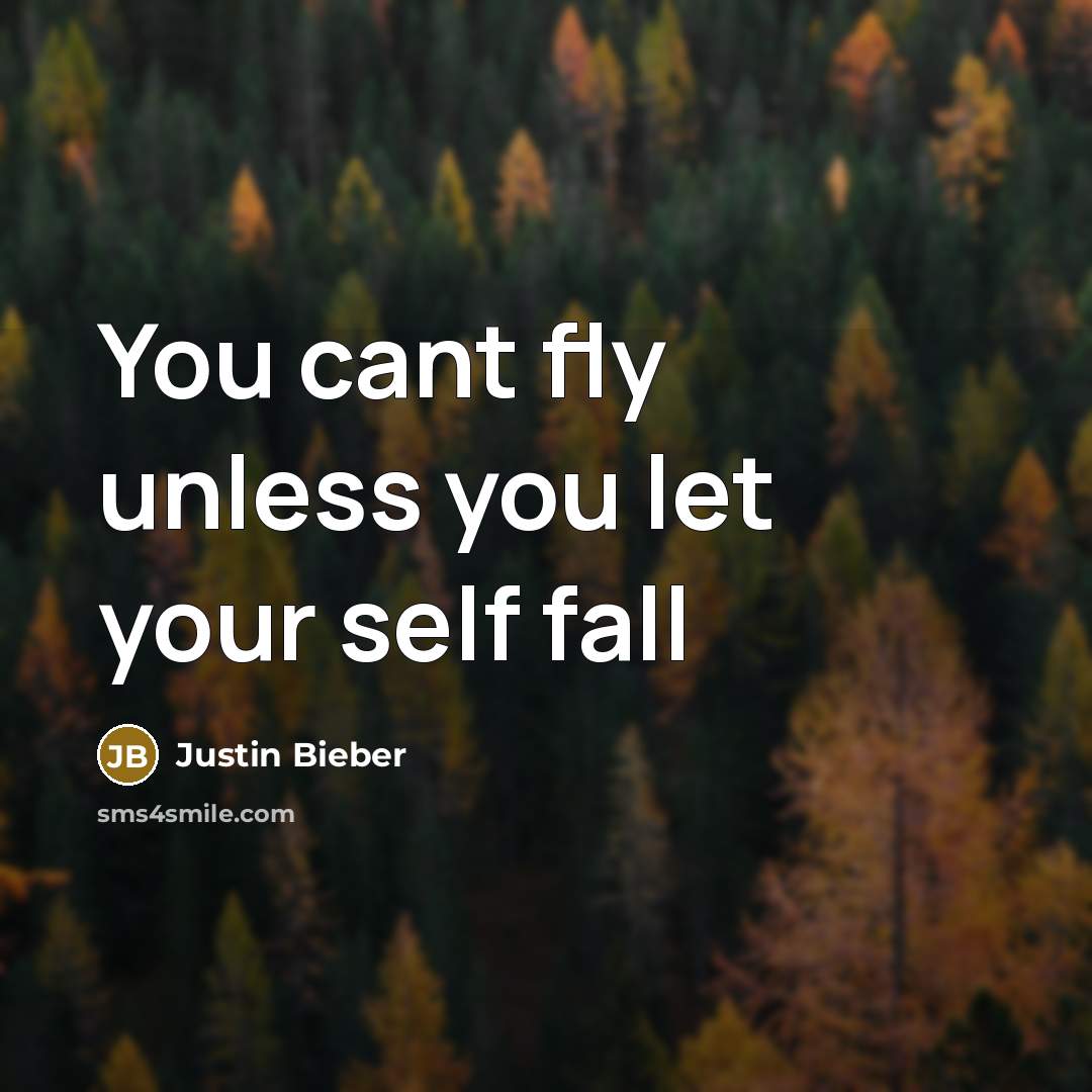 “You cant fly unless you let your self fall” quote by Justin Bieber