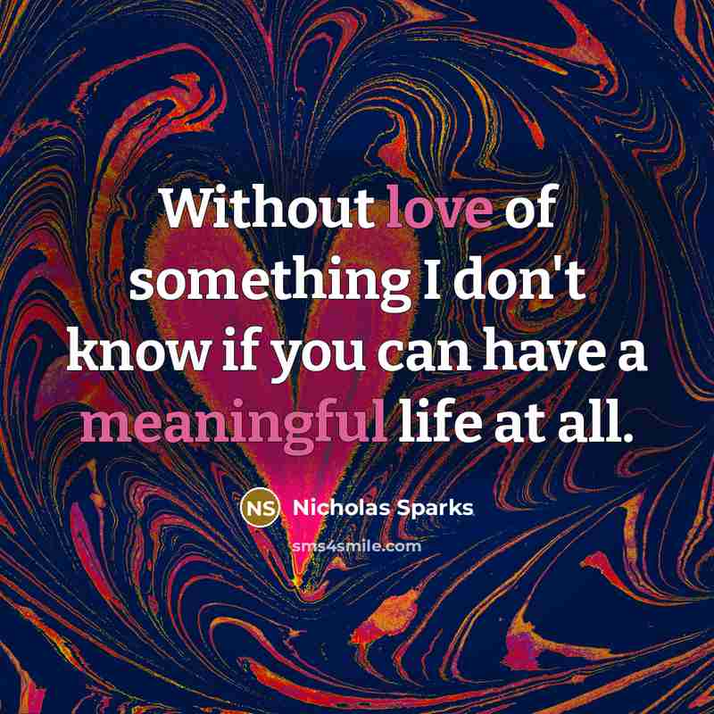 “Without love of something I don't know if you can have a meaningful life at all.” quote by Nicholas Sparks