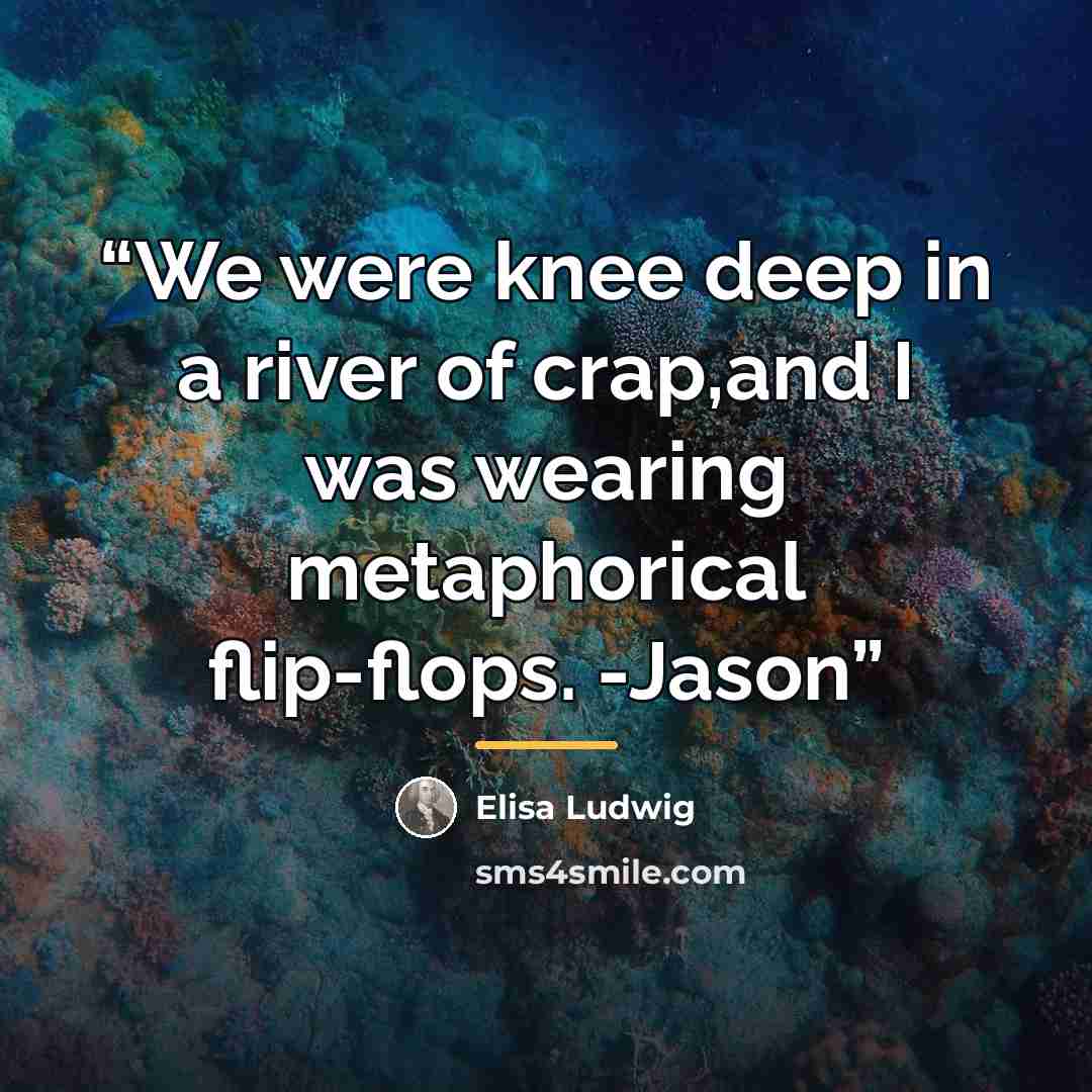 “We were knee deep in a river of crap,and I was wearing metaphorical flip-flops. -Jason” quote by Elisa Ludwig