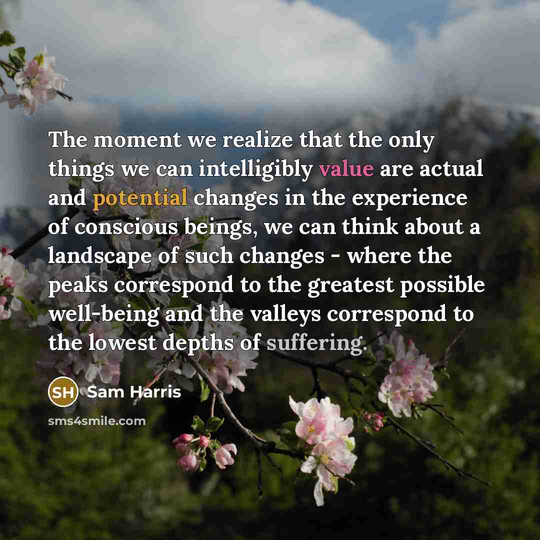 “The moment we realize that the only things we can intelligibly value are actual and potential changes in the experience of conscious beings, we can think about a landscape of such changes - where the peaks correspond to the greatest possible well-being and the valleys correspond to the lowest…” quote by Sam Harris