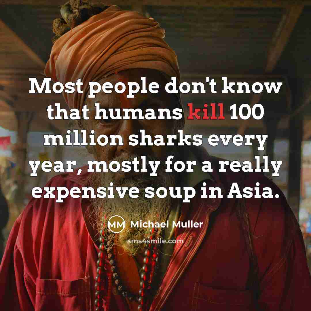 “Most people don't know that humans kill 100 million sharks every year, mostly for a really expensive soup in Asia.” quote by Michael Muller