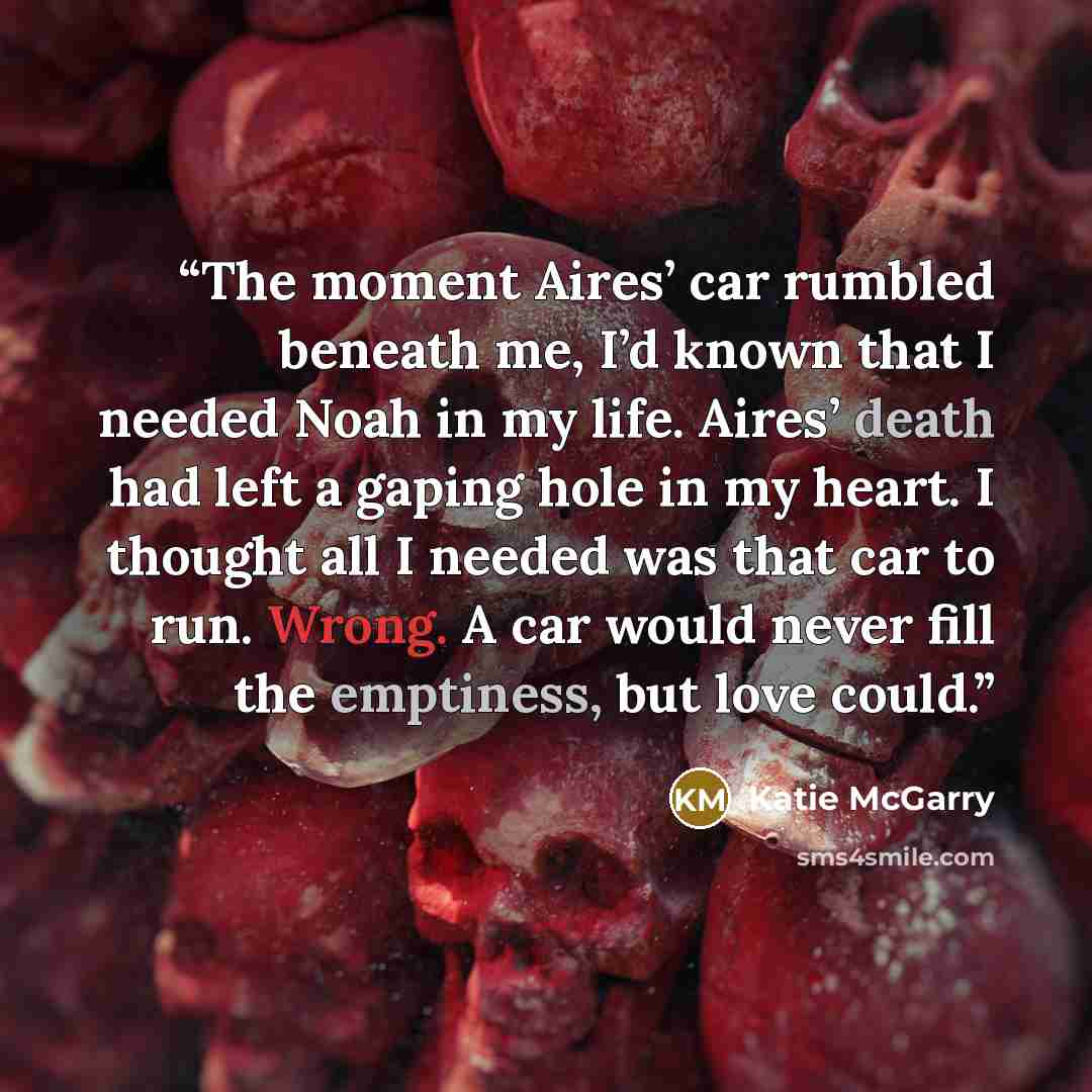 “The moment Aires’ car rumbled beneath me, I’d known that I needed Noah in my life. Aires’ death had left a gaping hole in my heart. I thought all I needed was that car to run. Wrong. A car would never fill the emptiness, but love could.” quote by Katie McGarry