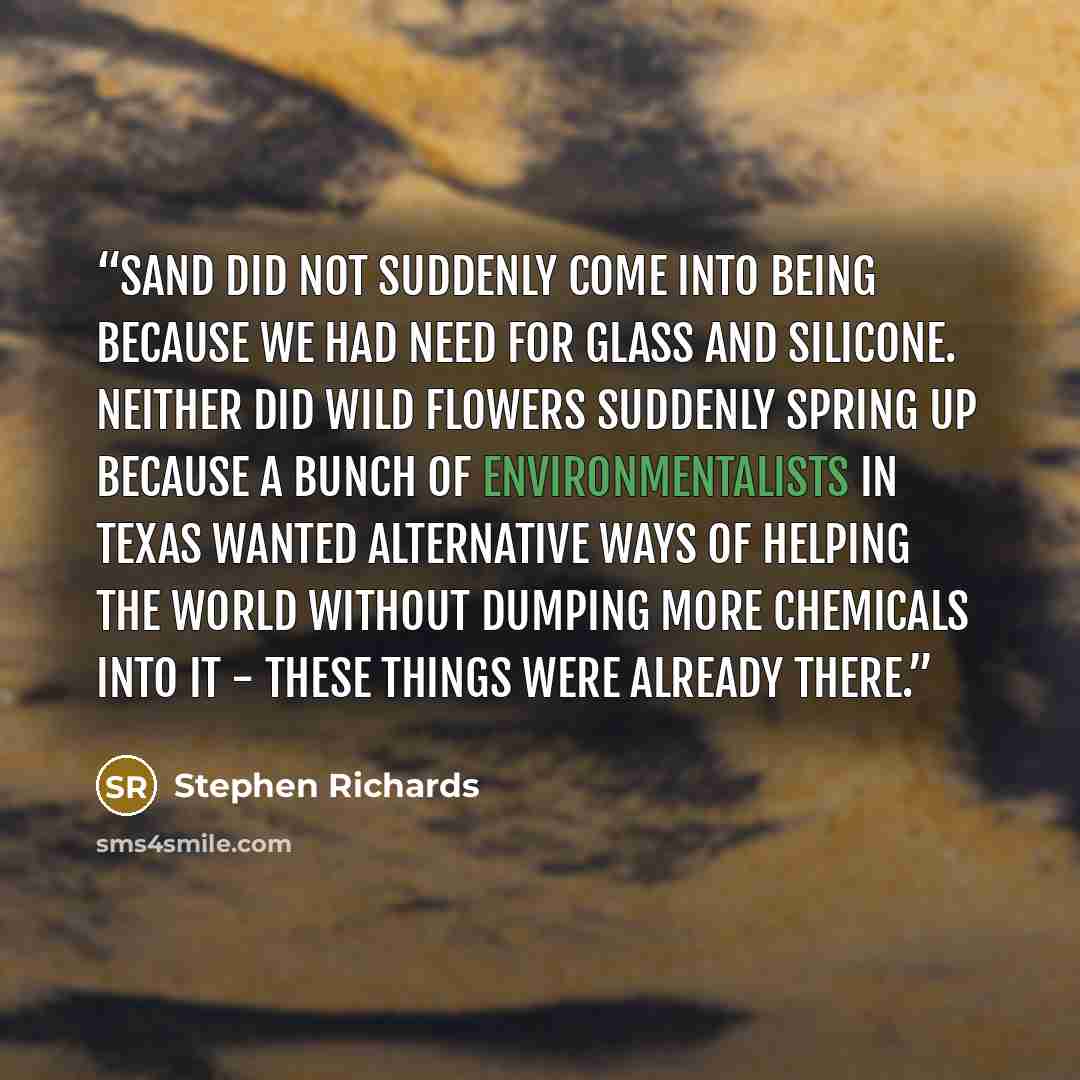 “Sand did not suddenly come into being because we had need for glass and silicone. Neither did wild flowers suddenly spring up because a bunch of environmentalists in Texas wanted alternative ways of helping the world without dumping more chemicals into it - these things were already there.” quote by Stephen Richards