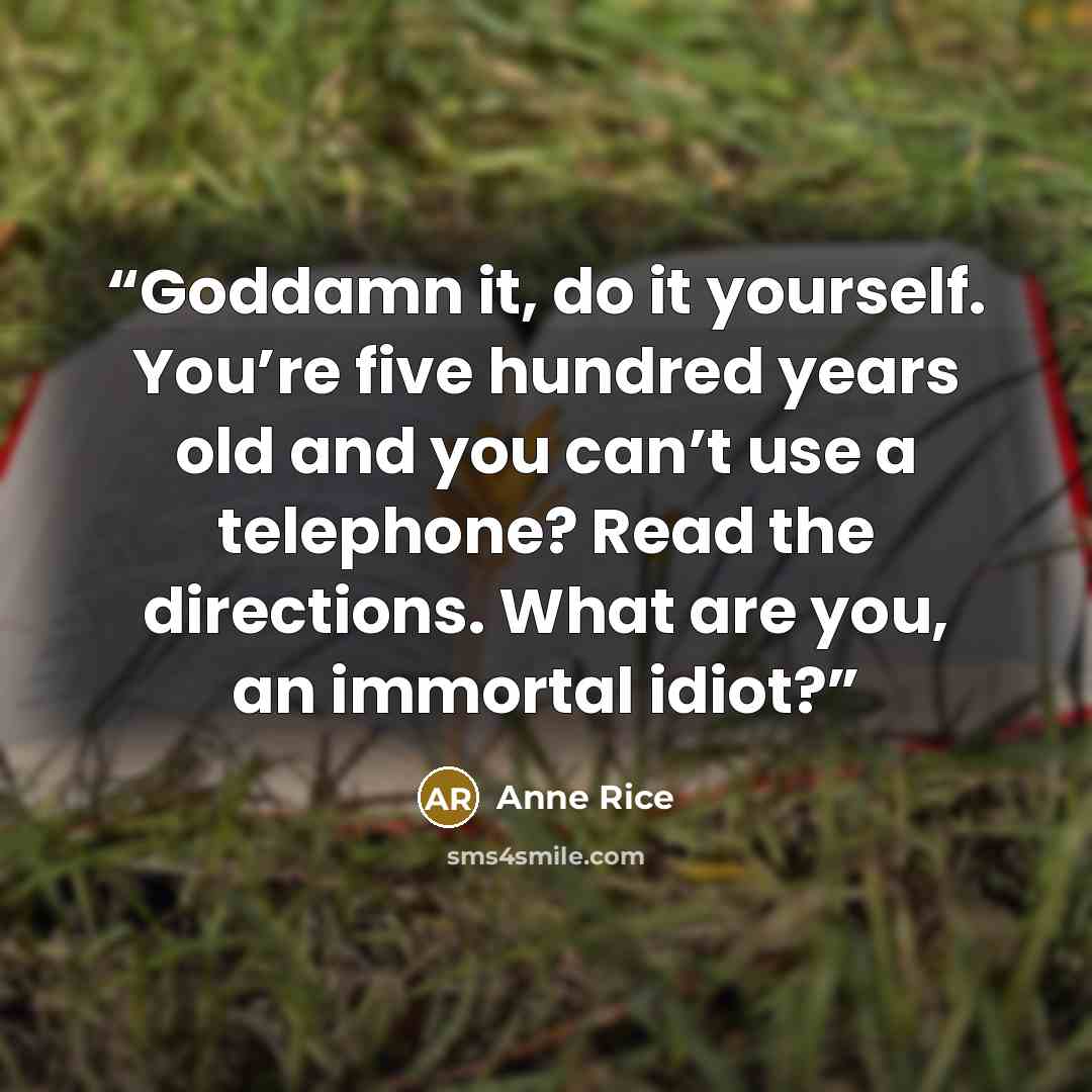 “Goddamn it, do it yourself. You’re five hundred years old and you can’t use a telephone? Read the directions. What are you, an immortal idiot?” quote by Anne Rice
