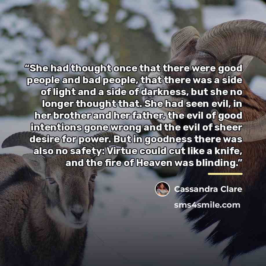 “She had thought once that there were good people and bad people, that there was a side of light and a side of darkness, but she no longer thought that. She had seen evil, in her brother and her father, the evil of good intentions gone wrong and the evil of sheer desire for power. But in goodness…” quote by Cassandra Clare